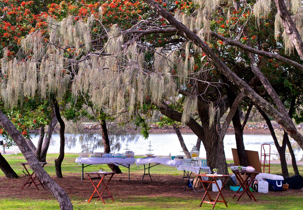 Wedding picnic